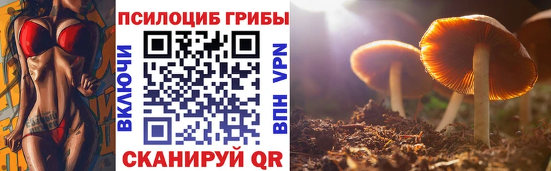 наркошоп блэк спрут онион Псилоцибиновые грибы GOLDEN TEACHER Смоленск